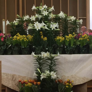 Easter lilies and other flowers on the altar