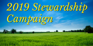 grassy field with blue sky and words "2019 Stewardship Campaign"