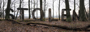 The word "Stolen" on a backdrop of leafless trees